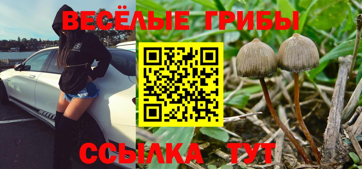 Галлюциногенные грибы MAGIC MUSHROOMS Михайловка
